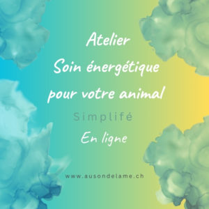 Cours soin énergétique pour animaux