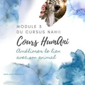 Formation pour améliorer le lien avec son animal