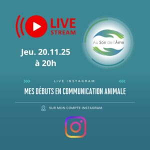 Mes débuts en communication animale