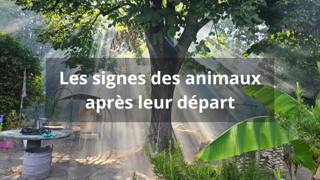 Communication animale et signes de l'au-delà