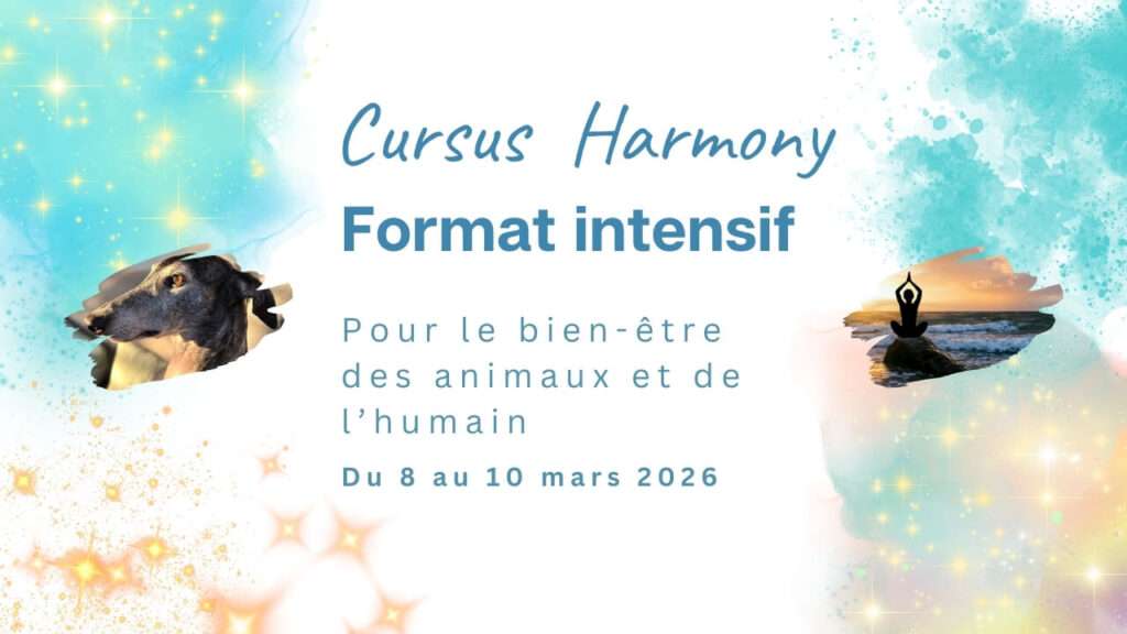Format exceptionnel du cursus Harmony