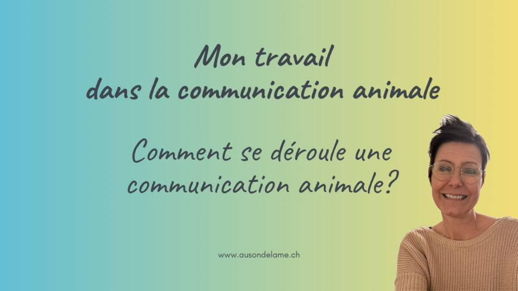 Mon travail en communication animale
