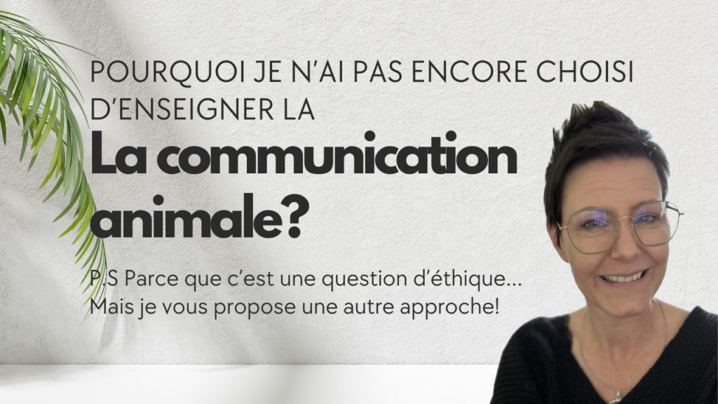 Pourquoi je ne donne pas encore de cours de communication animale