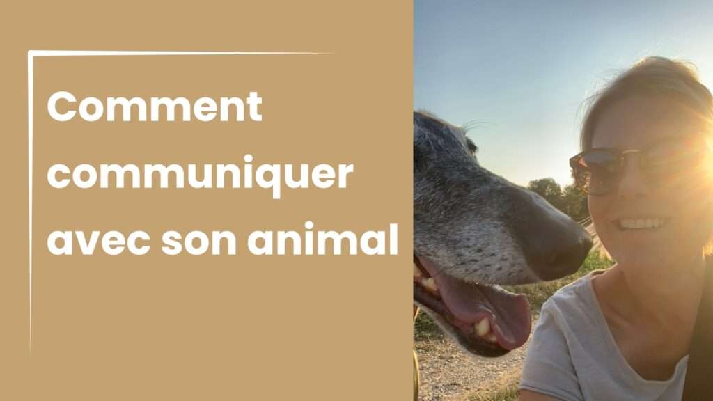 Comment communiquer avec son animal