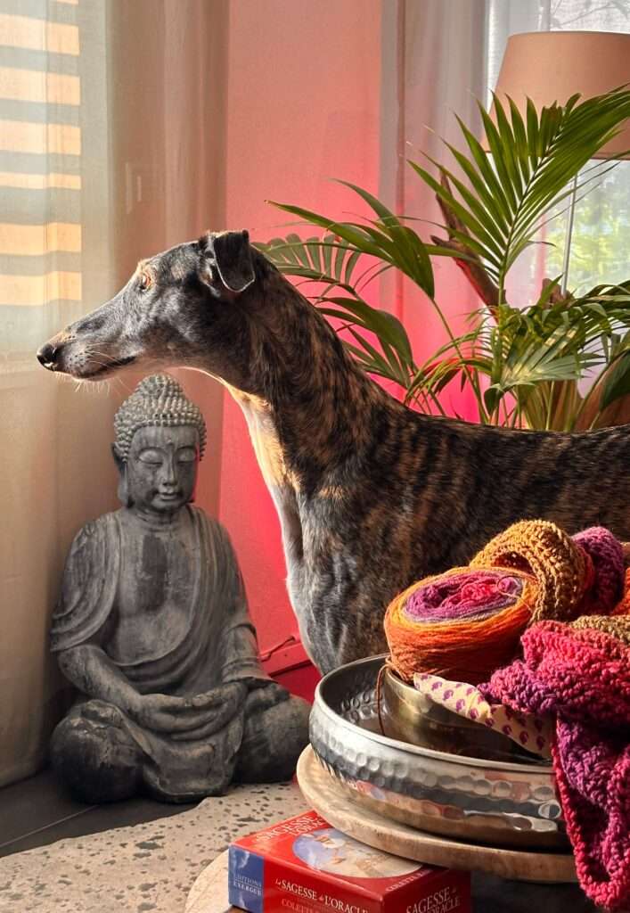 Le chien dont je suis la gardienne