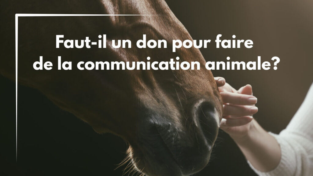 Faut-il un don pour faire de la communication animale