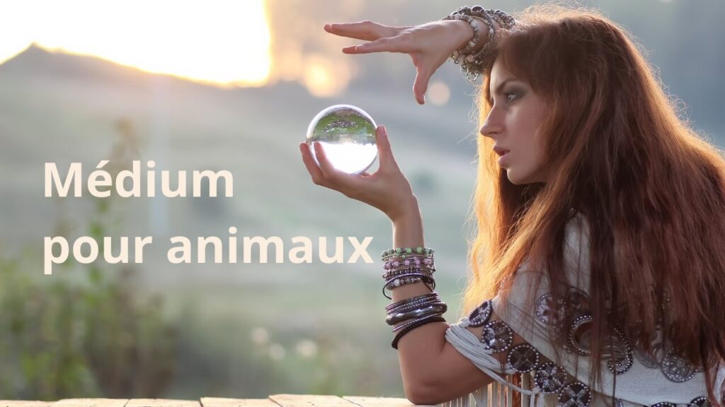 Médium pour animaux