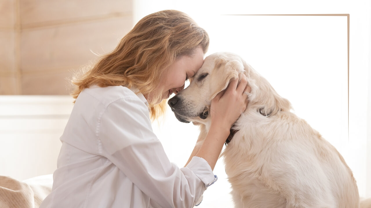 Femme en connexion de cœur à cœur avec son animal, illustrant la communication intuitive