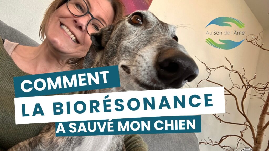 Comment la biorésonance a sauvé mon chien
