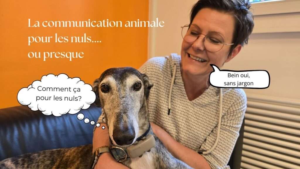 la communication animale pour les nuls, simple et sans jargon
