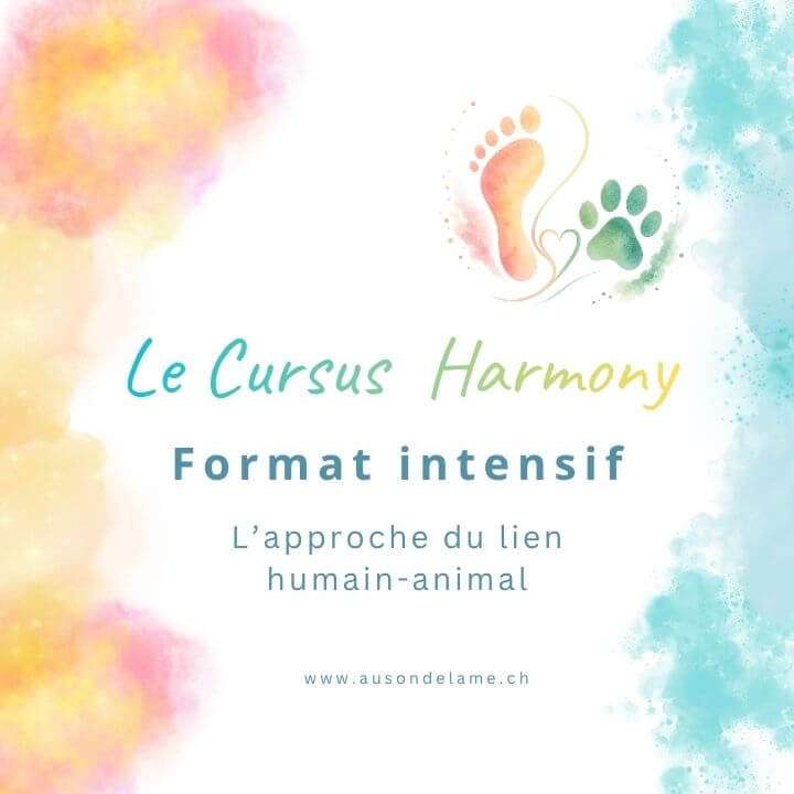 Format intensif du cursus Harmony