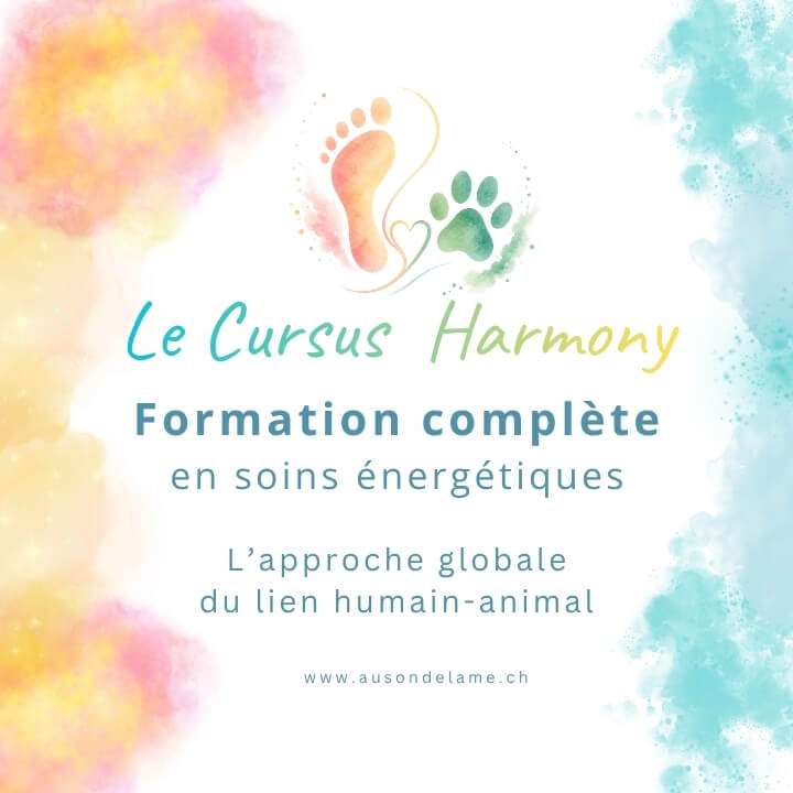 Formation complète cursus Harmony