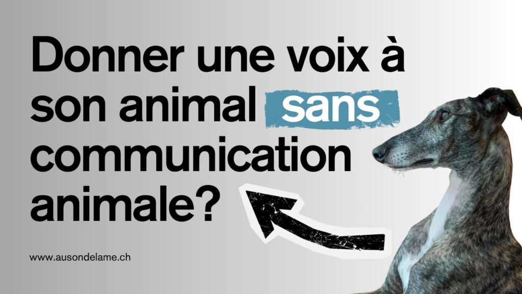 Donner une voix à son animal sans communication animale