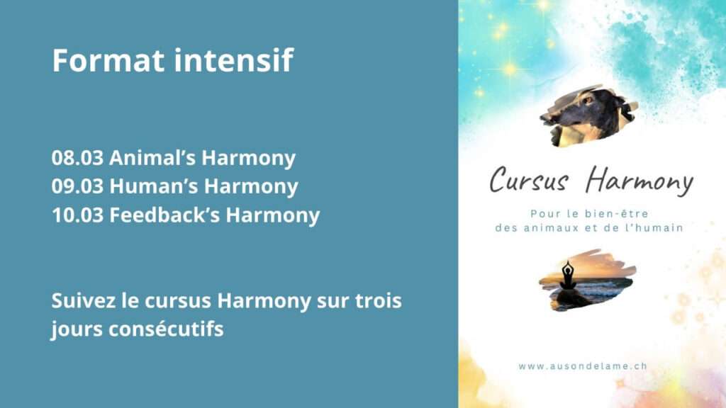 Format intensif du cursus Harmony