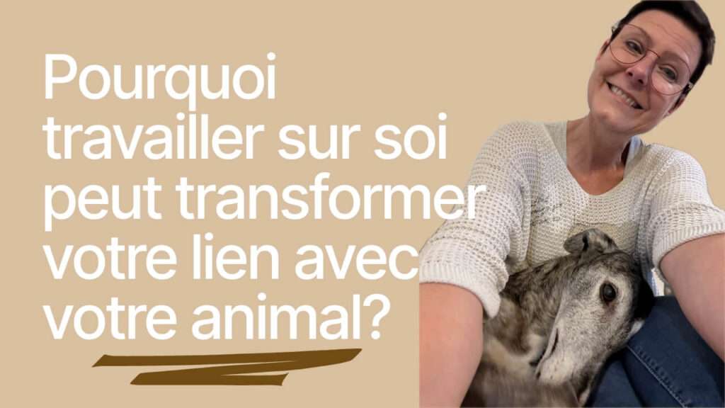 Travailler sur soi pour améliorer le lien avec son animal