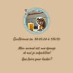 Mon animal est une éponge