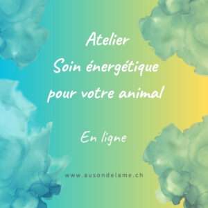 Atelier soin énergétique pour ton animal