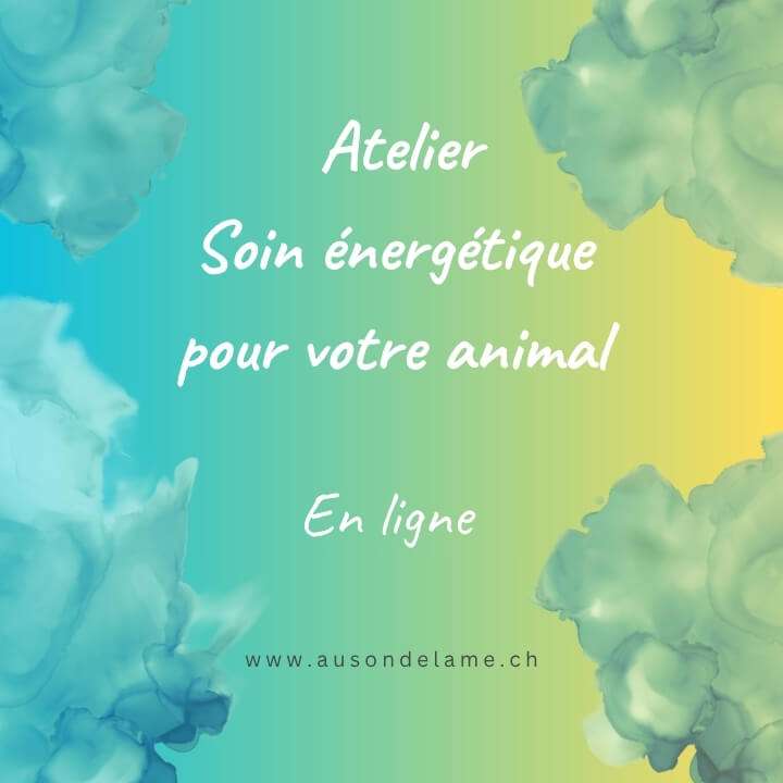 Atelier soin énergétique pour ton animal
