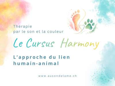 Cursus Harmony une formation énergétique sur le lien humain animal