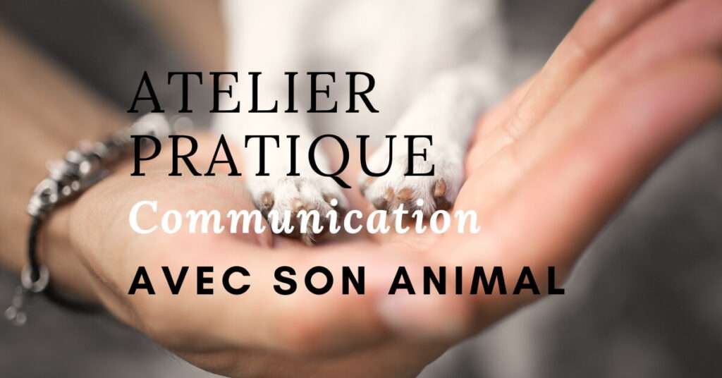 Atelier pratique de la communication animale