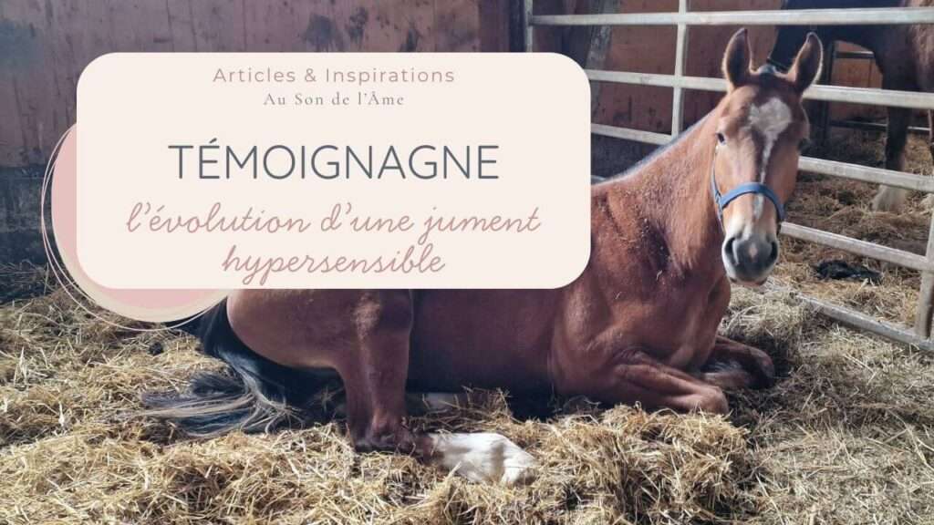 témoignage communication animal cheval