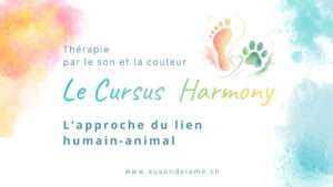 La thérapie du lien animal-humain: cursus Harmony