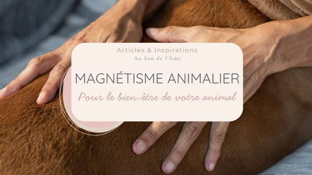 Formation en magnétisme animalier