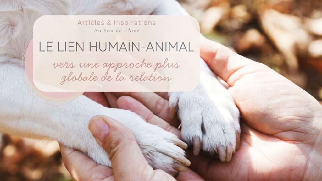 Pattes d’un chien posées dans les mains de son humain, symbole du lien humain-animal