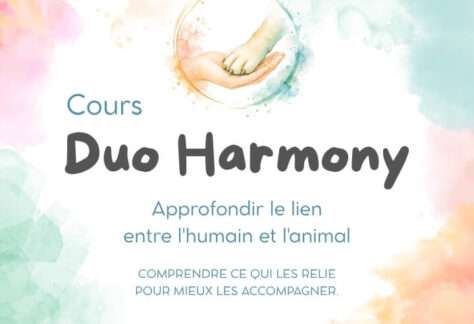Le cours qui prend soin du lien humain-animal