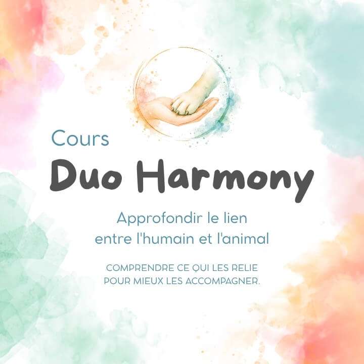 Le cours qui prend soin du lien humain-animal