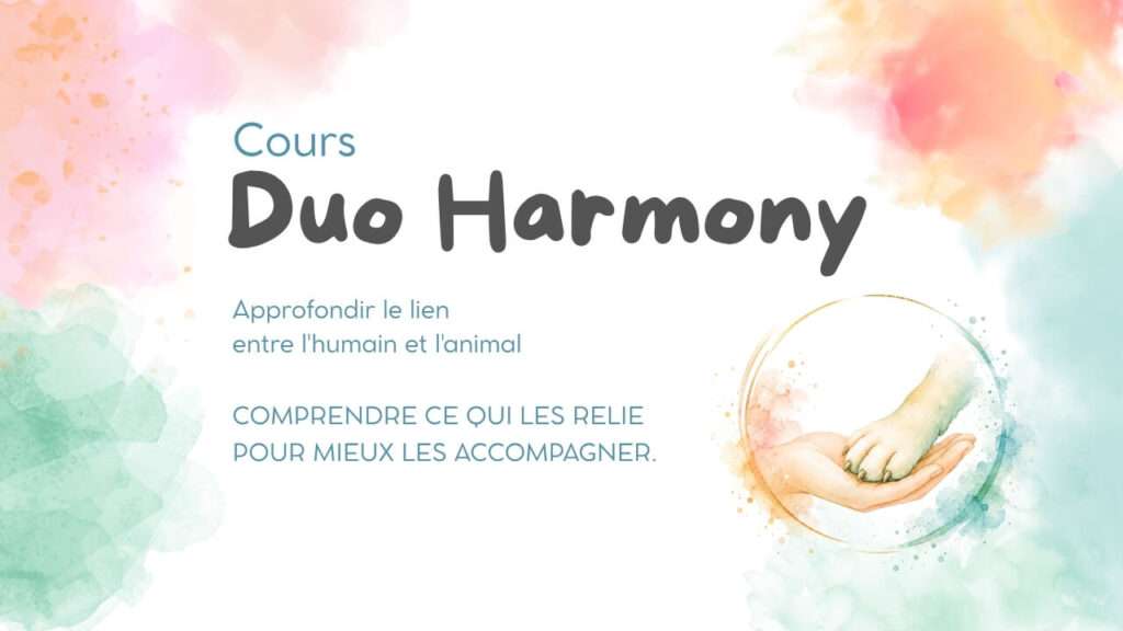 Illustration de la formation Duo Harmony, un soin énergétique dédié à la relation entre l'humain et son animal.