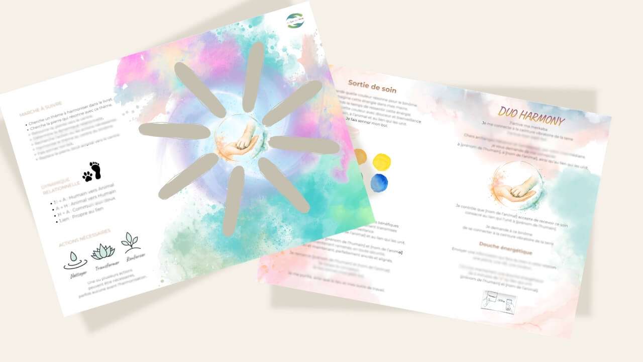 Image du matériel, des fiches de travail du cours Duo Harmony