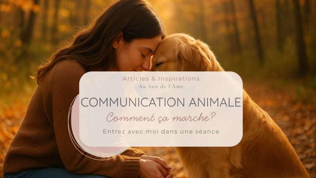 Communication animale, je vous embarque avec moi durant une séance