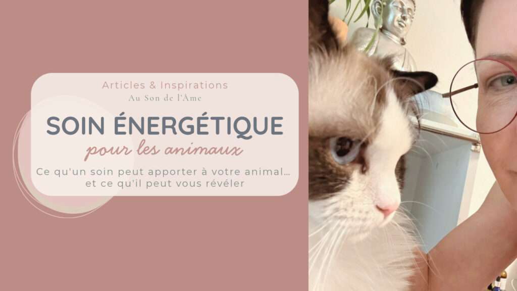 Soin énergétique pour animaux avec Michèle Charrière, thérapeute chez Au Son de l'Âme