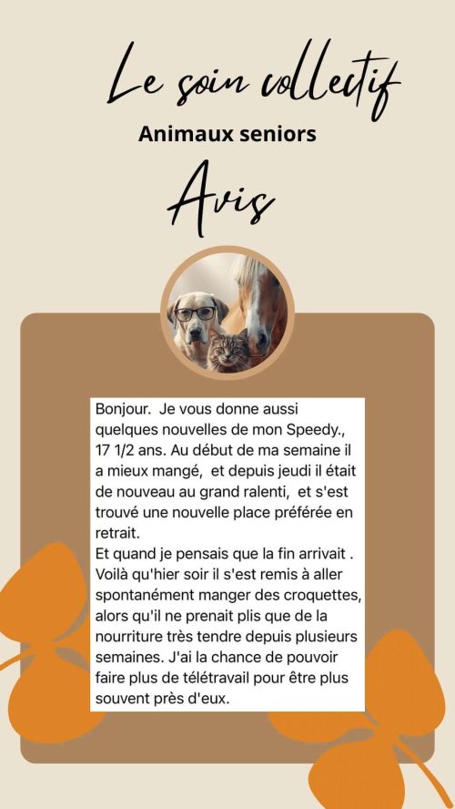 Témoignage client sur le soin collectif Animaux Séniors