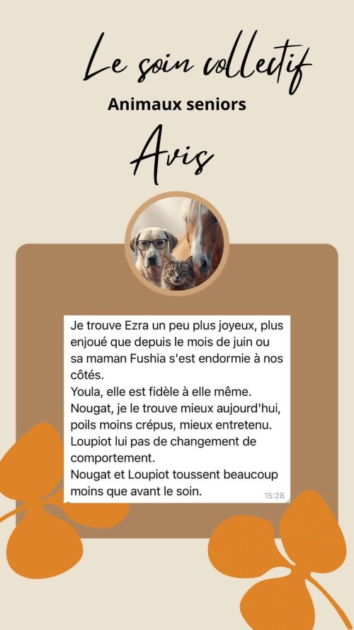 Retour d’expérience sur le soin collectif Animaux Séniors