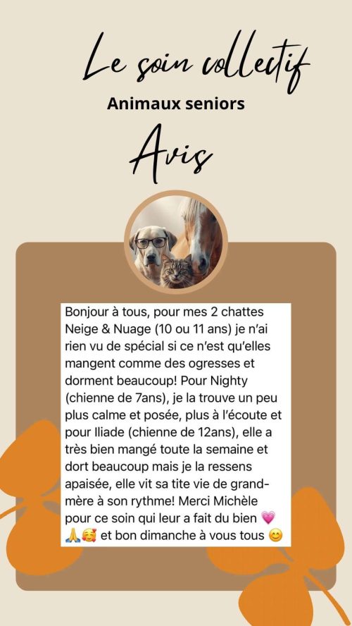 Avis client sur le soin collectif Animaux Séniors