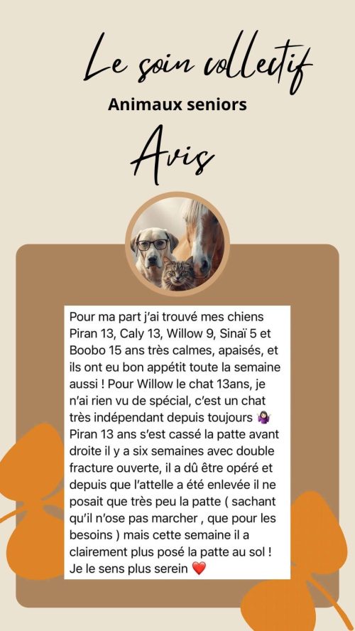 Expérience avec le soin collectif Animaux Séniors