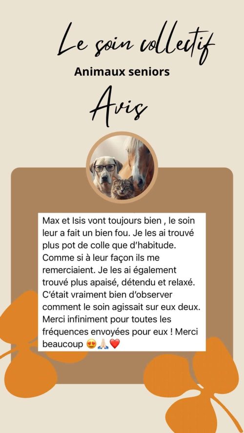 Témoignage sur le soin collectif Animaux Séniors