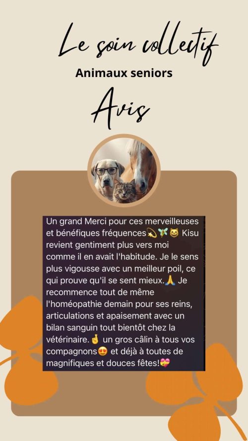 Avis sur le soin collectif Animaux Séniors