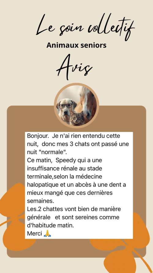 Témoignage sur le soin collectif Animaux Séniors