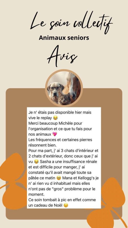Avis sur le soin collectif Animaux Séniors