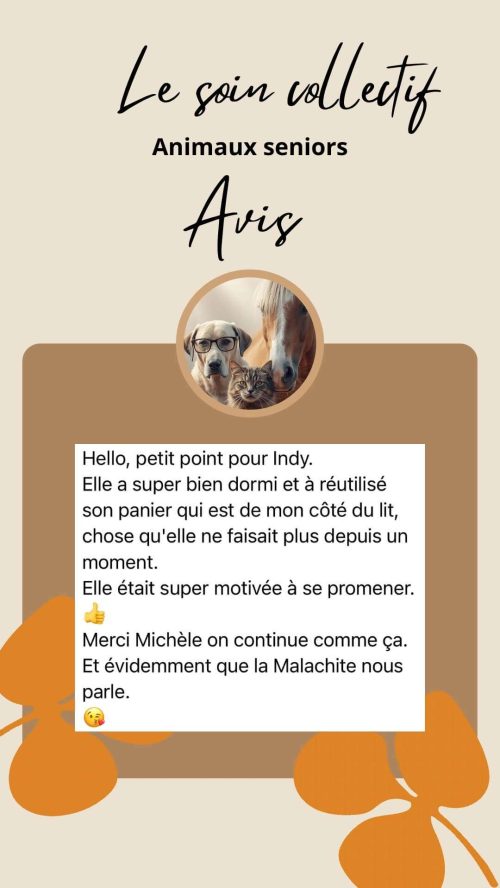Témoignage client sur le soin collectif Animaux Séniors