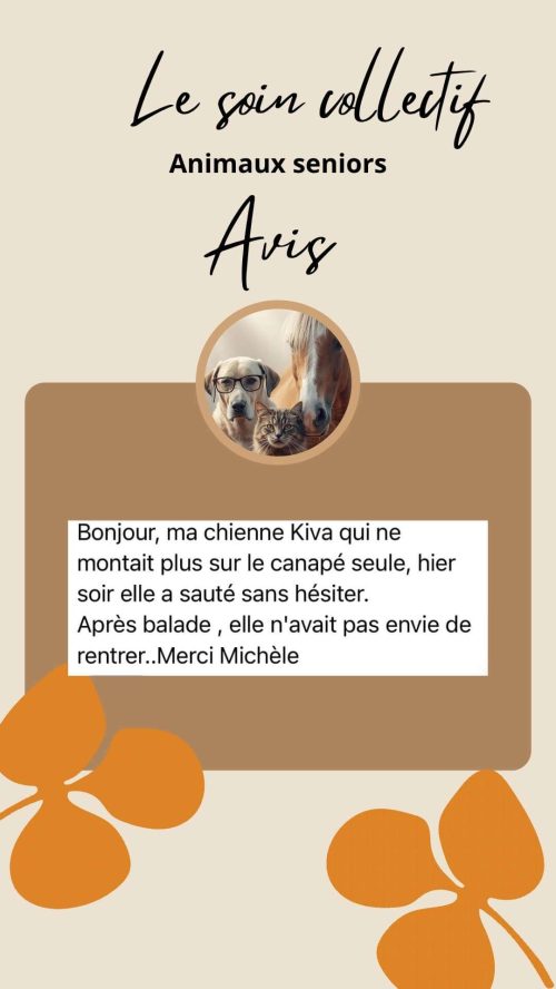 Retour d’expérience sur le soin collectif Animaux Séniors
