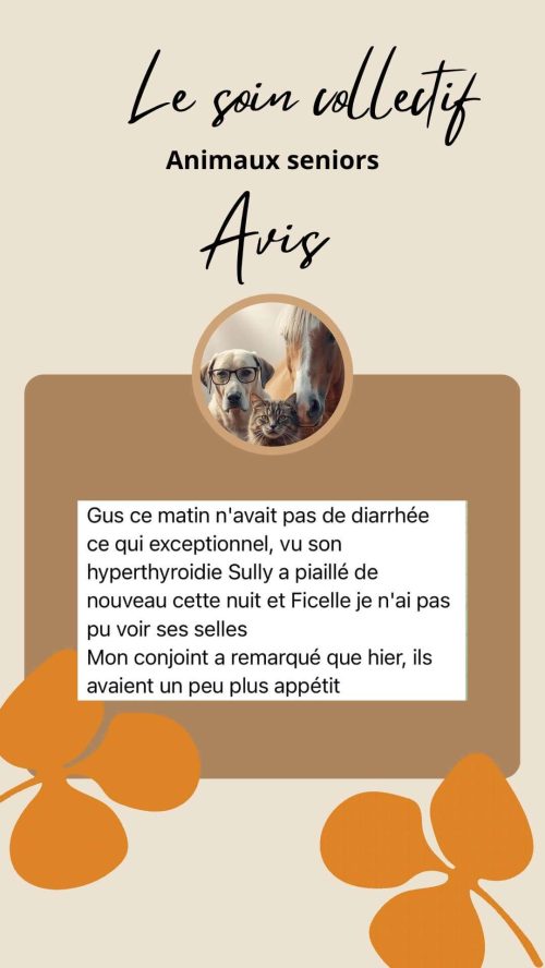 Avis client sur le soin collectif Animaux Séniors