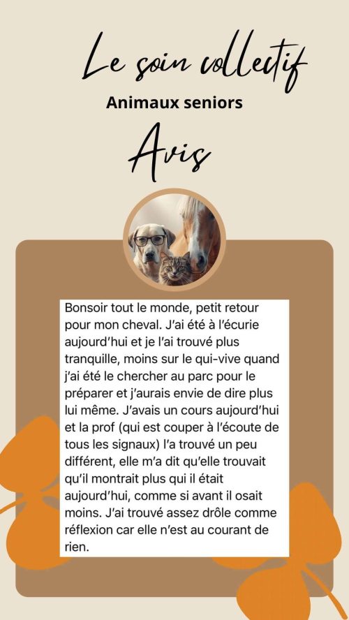Expérience avec le soin collectif Animaux Séniors