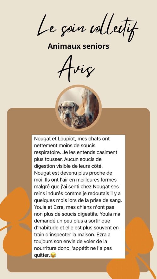Témoignage sur le soin collectif Animaux Séniors