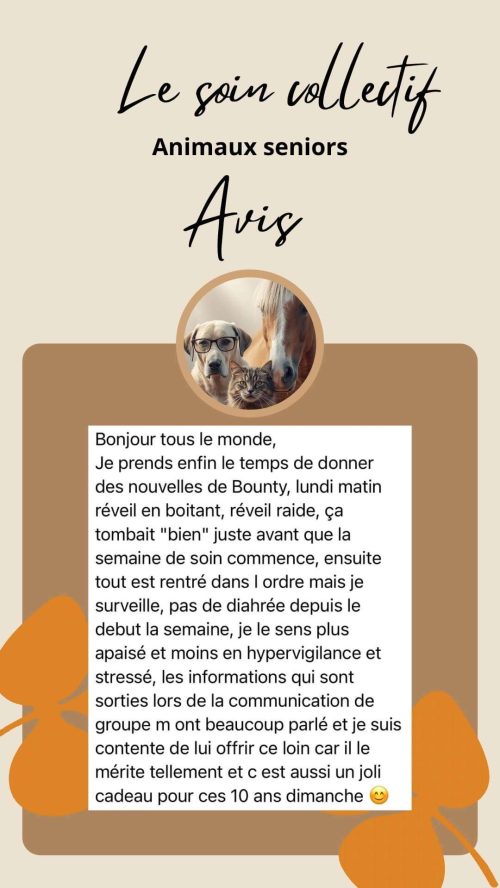Avis sur le soin collectif Animaux Séniors