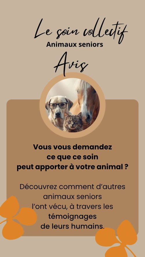 Ce que pensent les humains qui ont inscrit leurs animaux au soin collectif Animaux séniors