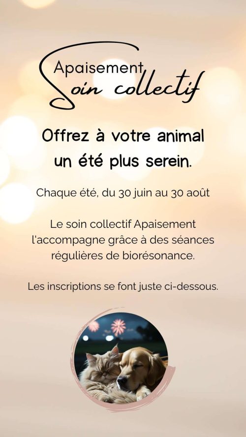 Retours spontanés sur le soin collectif Apaisement pour animaux